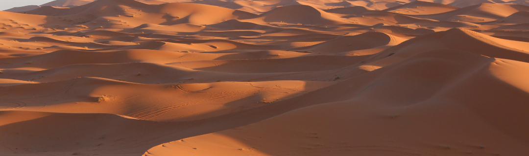 Moroccan Sahara